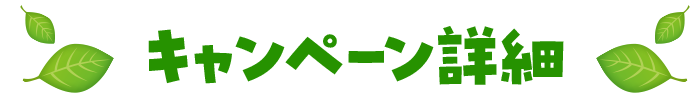 キャンペーン詳細