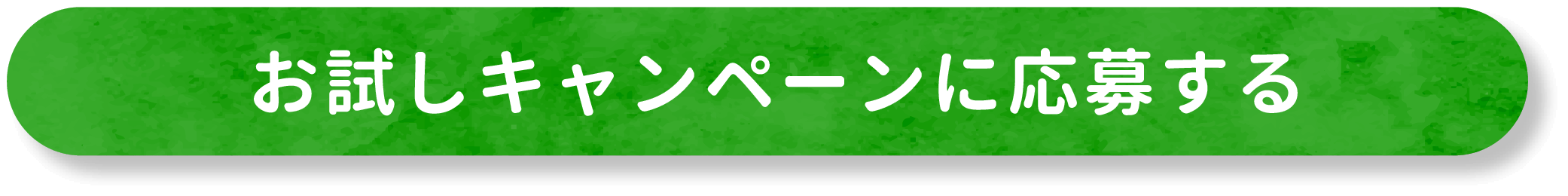 お試しキャンペーンに応募する