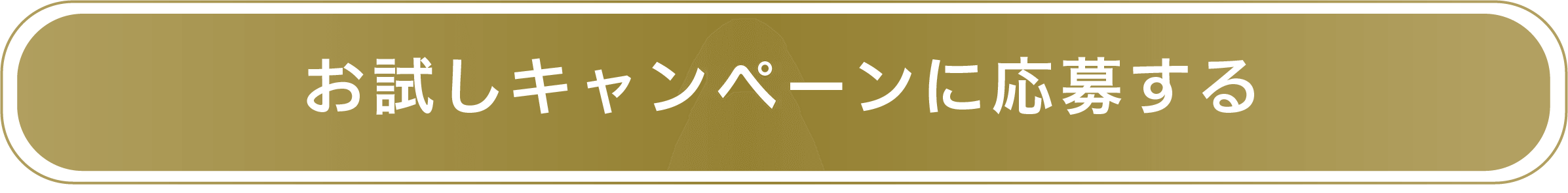 お試しキャンペーンに応募する