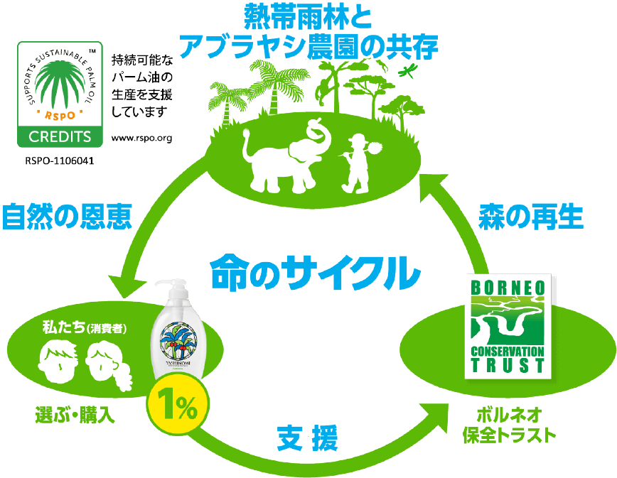 命のサイクル 自然の恩恵→支援→森の再生→熱帯雨林とアブラヤシ農園の共存