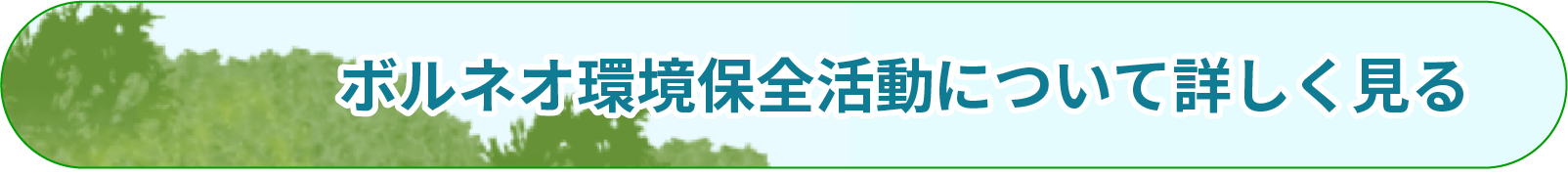 ボルネオ環境保護活動について詳しく見る